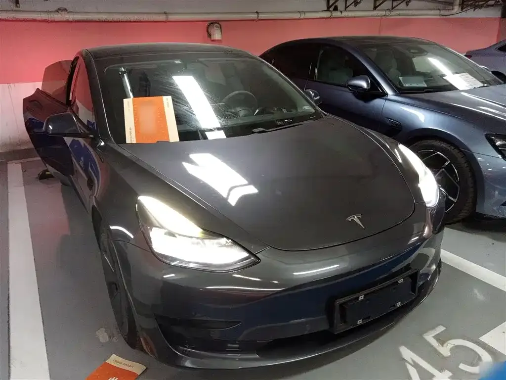 Tesla Model 3 2021 из CN, фото 6