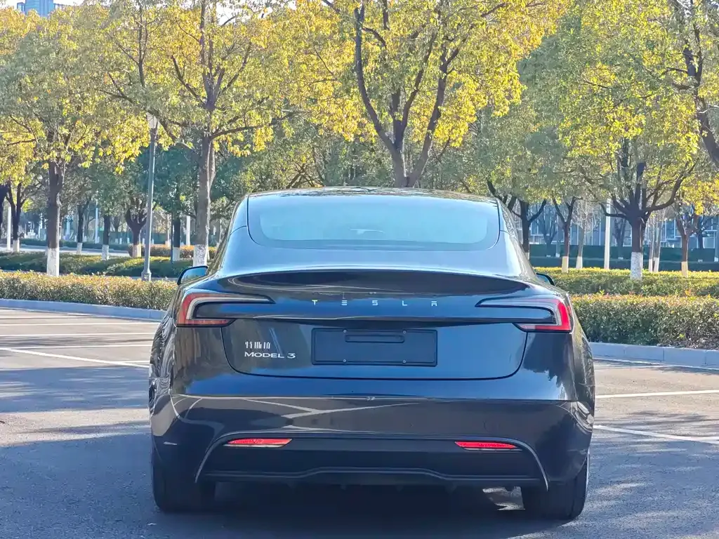 Tesla Model 3 2024 из CN, фото 9