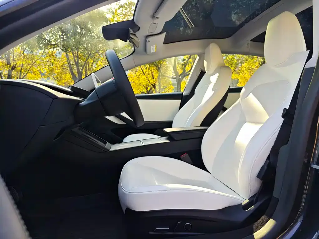 Tesla Model 3 2024 из CN, фото 6