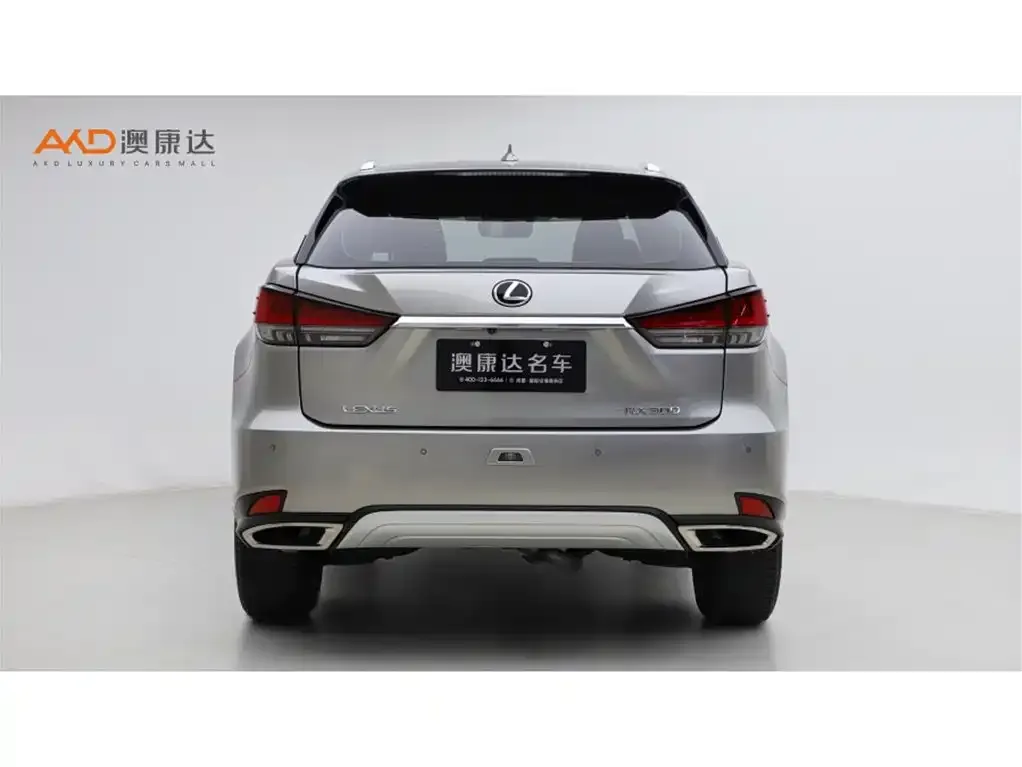 Lexus RX 2022 из CN, фото 10