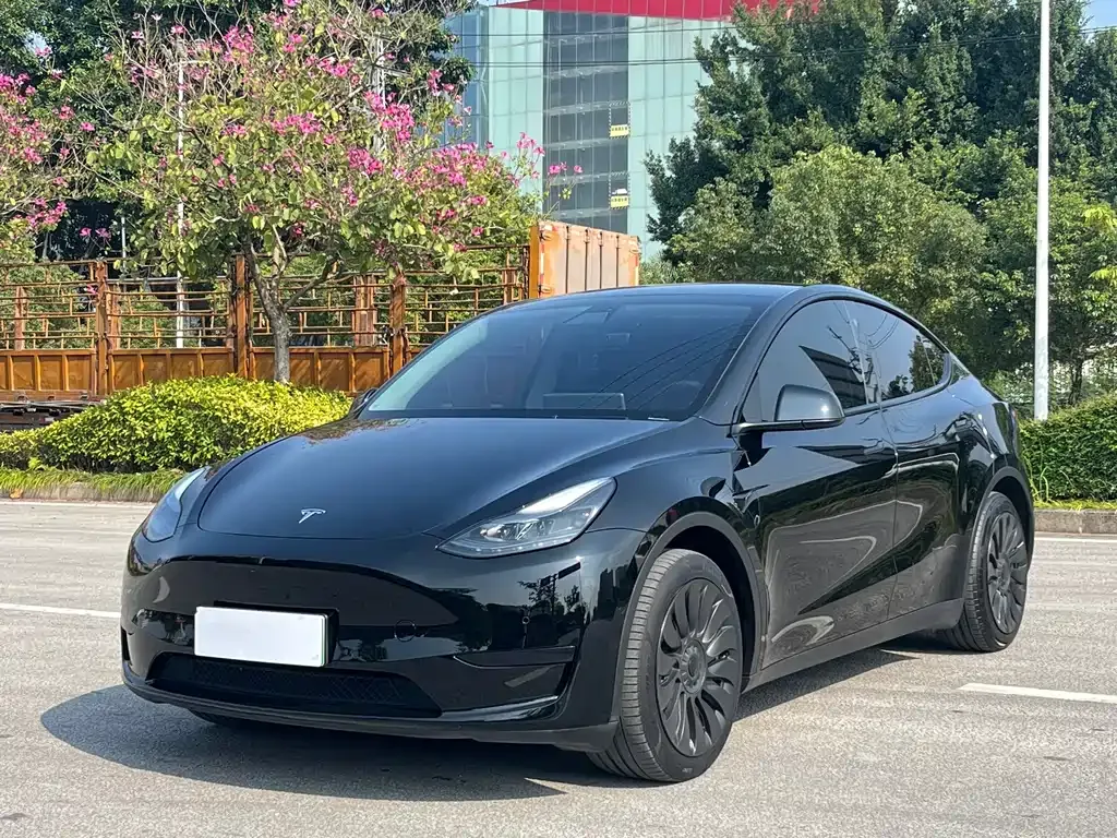 Tesla Model Y 2023 из CN, фото 1