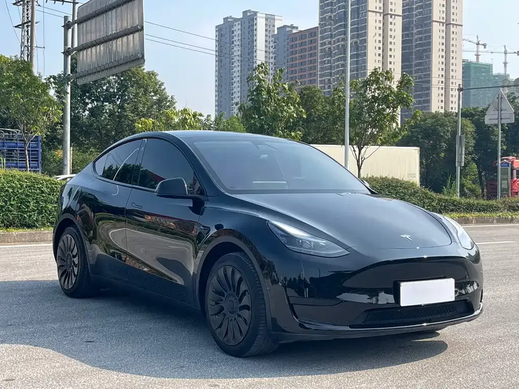 Tesla Model Y 2023 из CN, фото 8