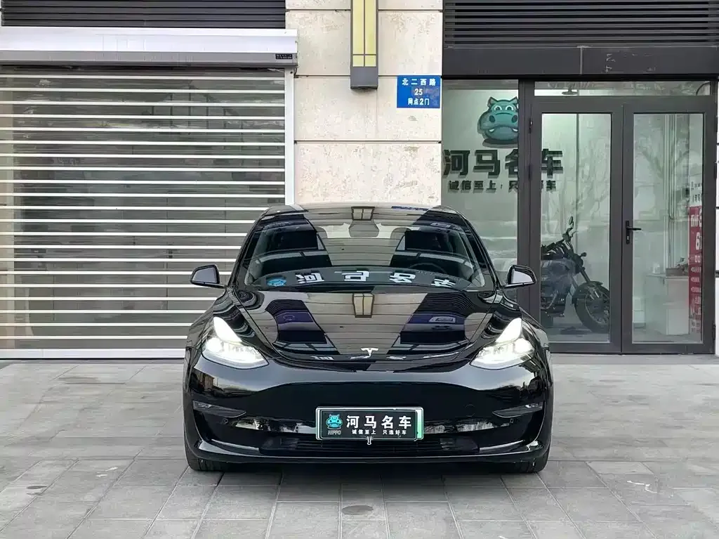 Tesla Model 3 2021 из CN, фото 2