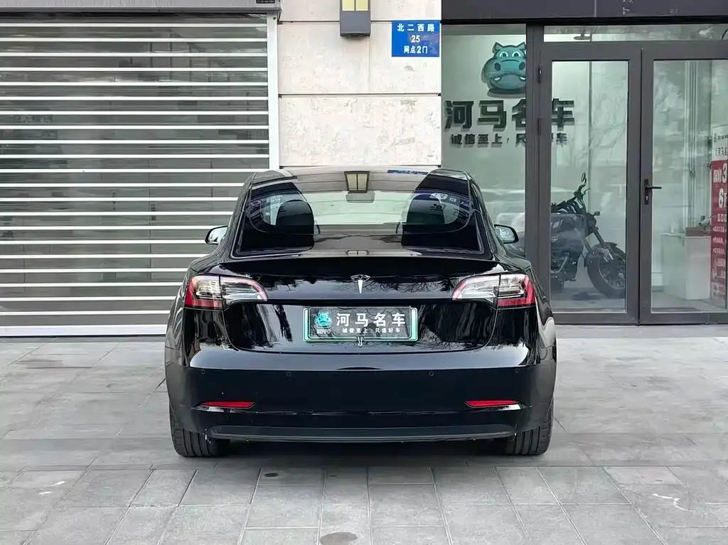 Tesla Model 3 2021 из CN, фото 4