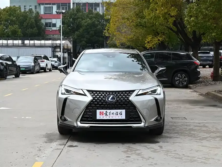 Lexus UX New Energy 2022 из CN, фото 4