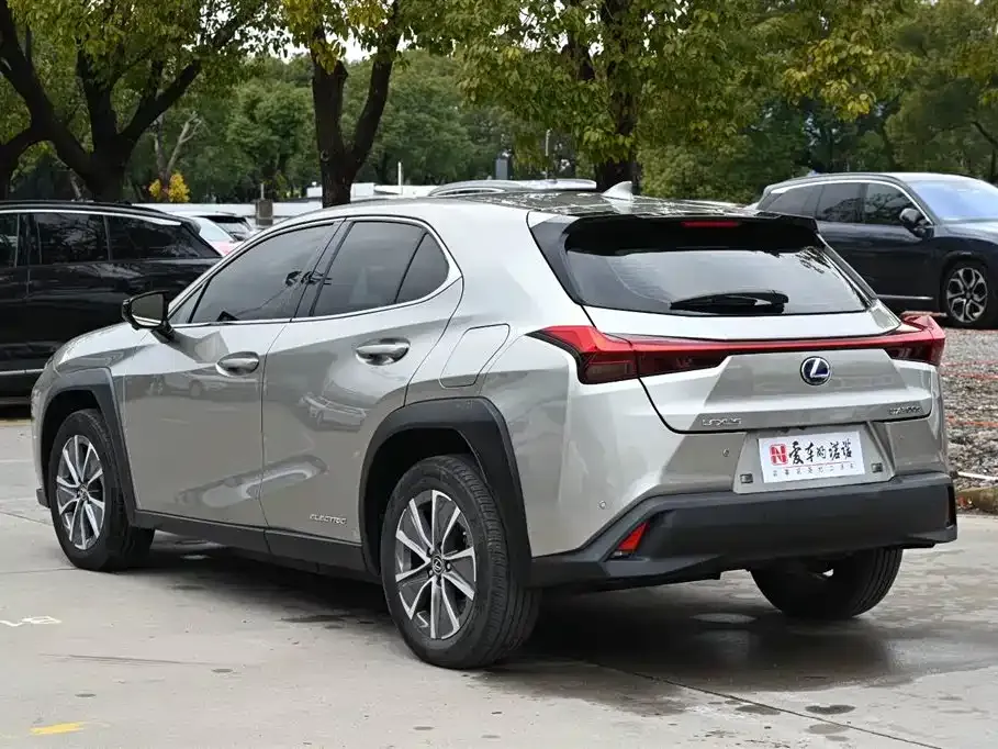 Lexus UX New Energy 2022 из CN, фото 9