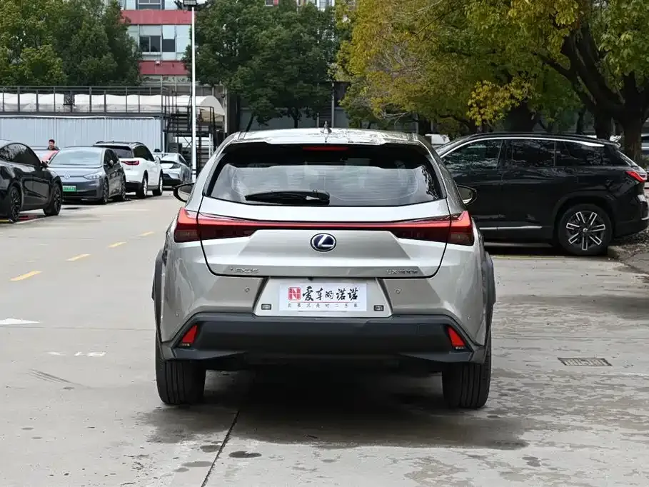 Lexus UX New Energy 2022 из CN, фото 3