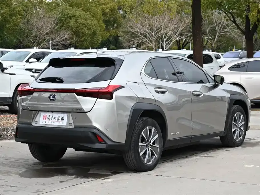 Lexus UX New Energy 2022 из CN, фото 7