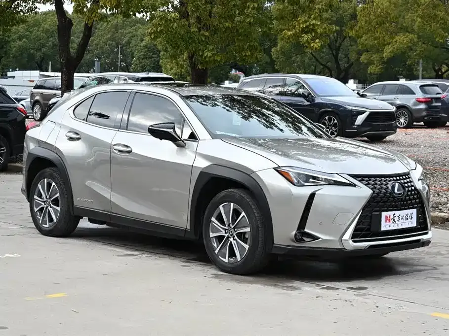 Lexus UX New Energy 2022 из CN, фото 8