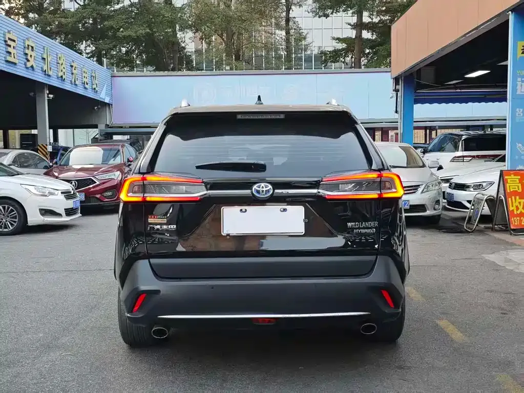 Toyota Wildlander 2022 из CN, фото 10