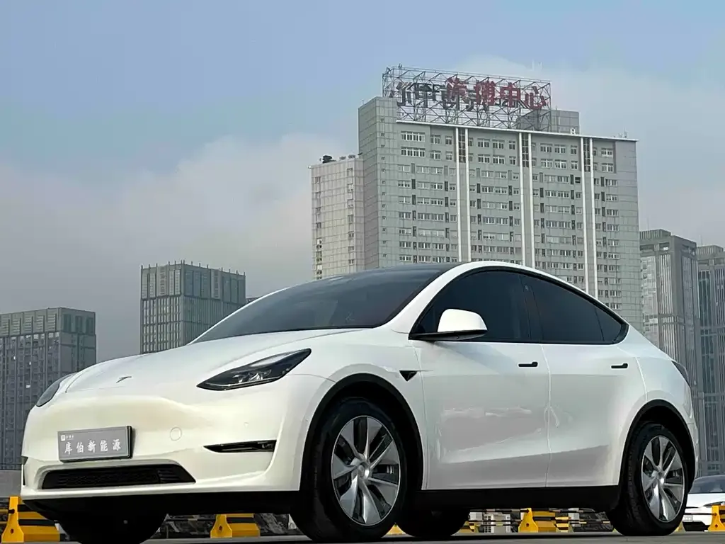 Tesla Model Y 2022 из CN, фото 1