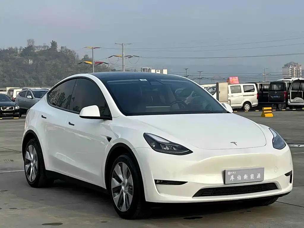 Tesla Model Y 2022 из CN, фото 7