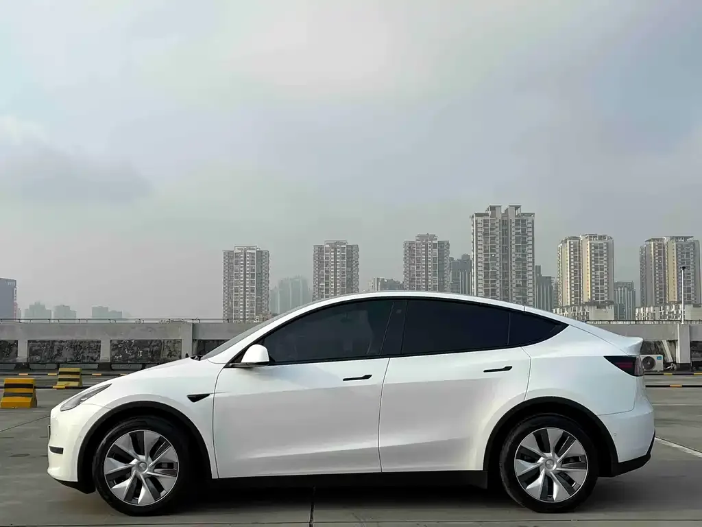 Tesla Model Y 2022 из CN, фото 6