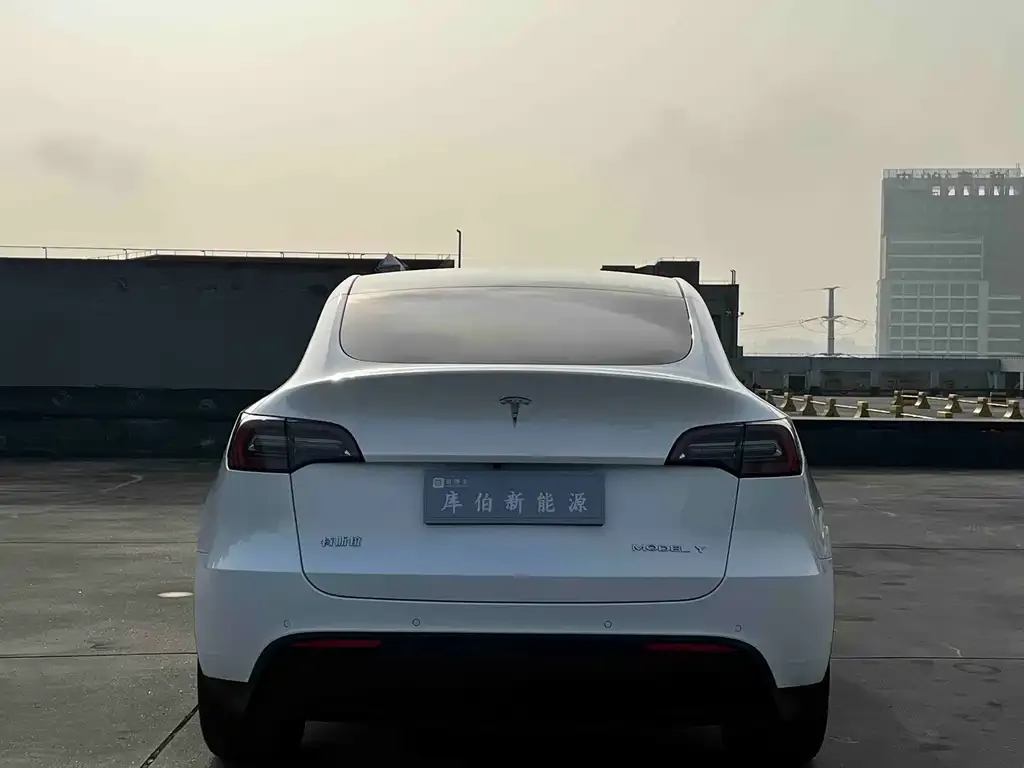 Tesla Model Y 2022 из CN, фото 5