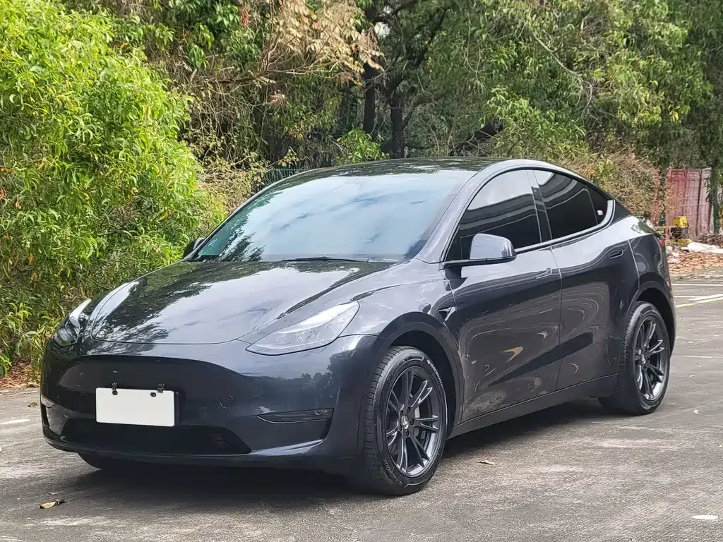 Tesla Model Y 2024 из CN, фото 1
