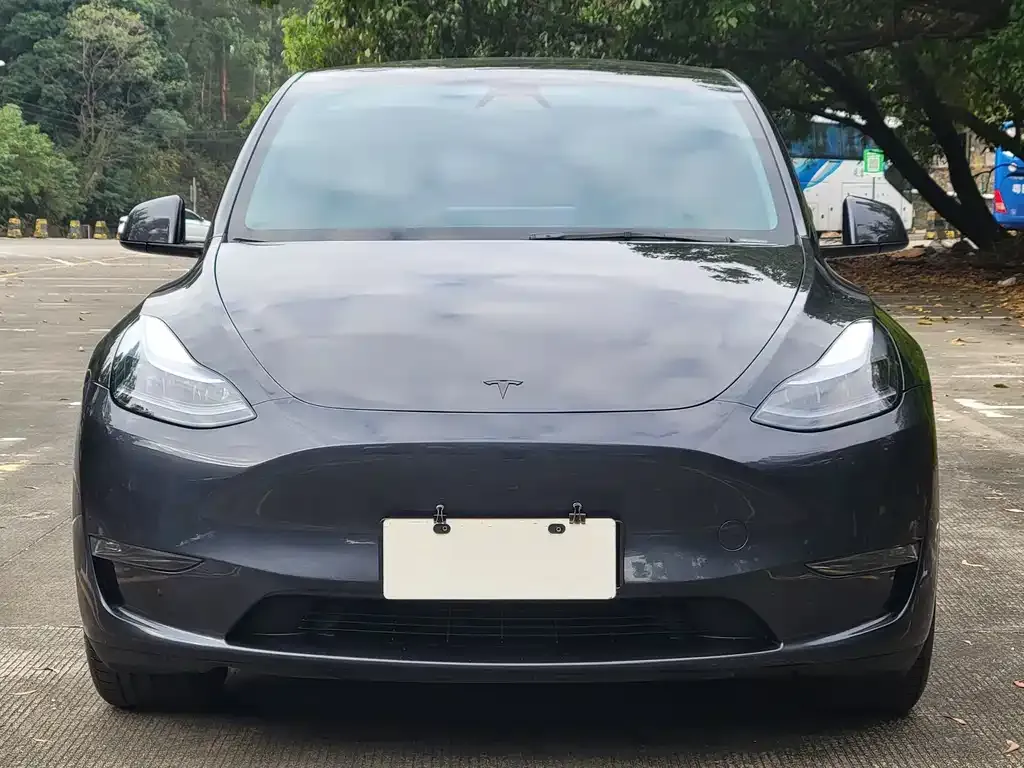 Tesla Model Y 2024 из CN, фото 3