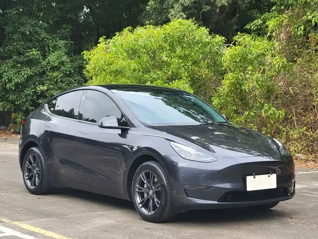 Tesla Model Y 2024 из CN, фото 9