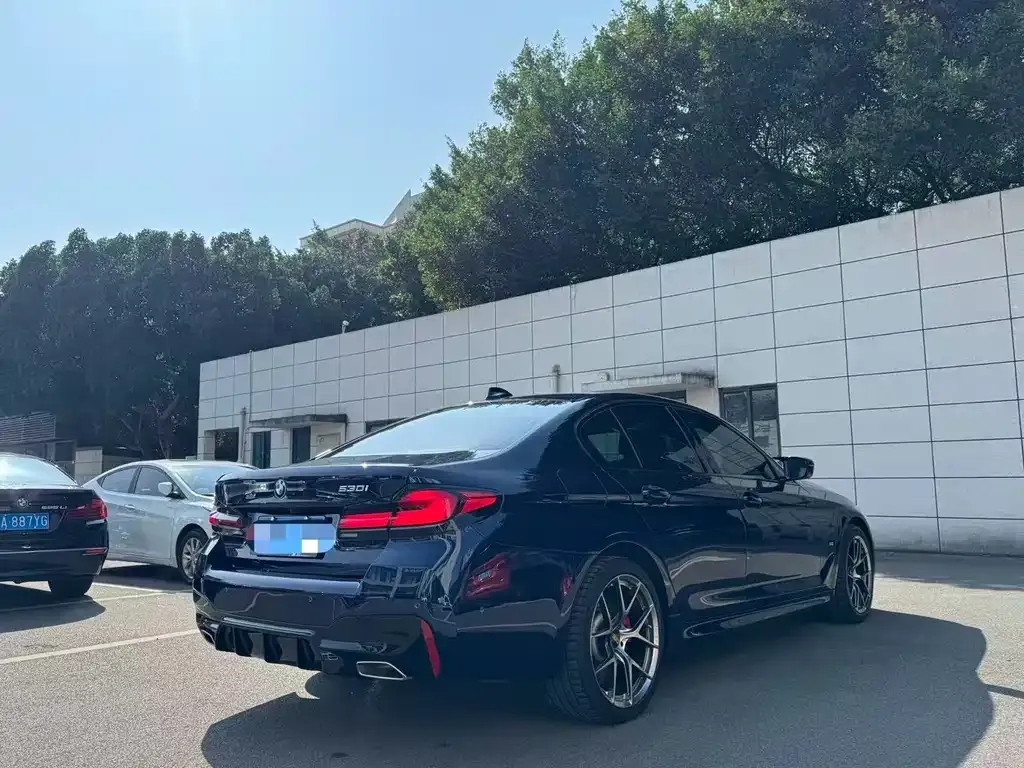 BMW 5 Series (Import) 2022 из CN, фото 5