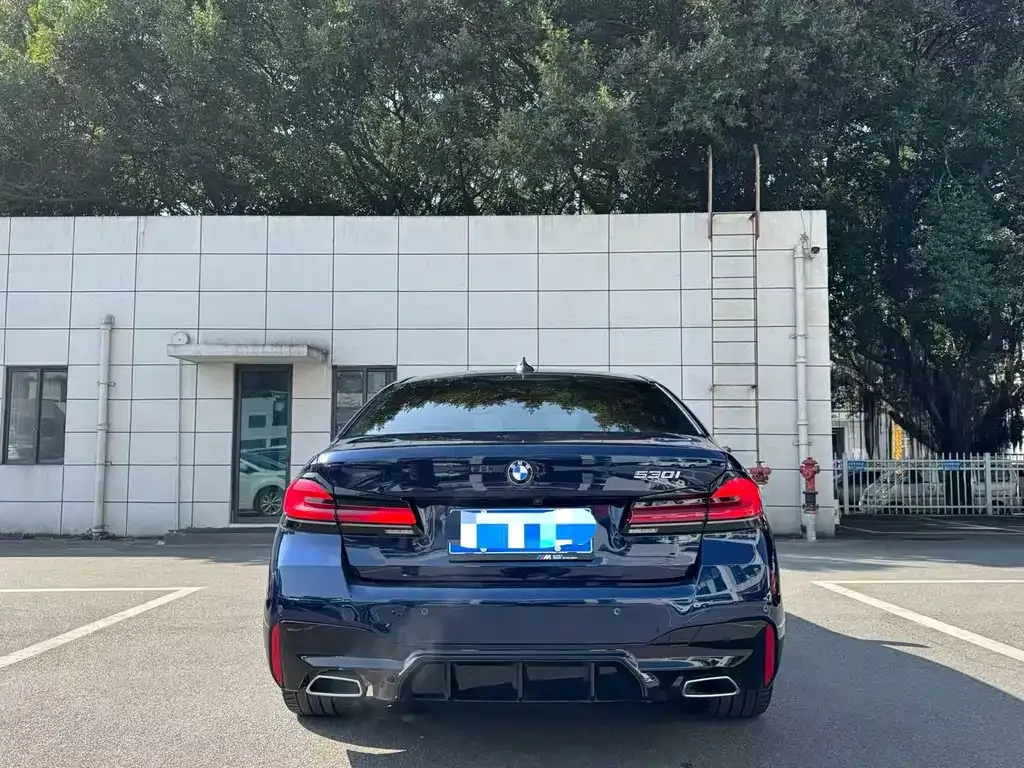 BMW 5 Series (Import) 2022 из CN, фото 9