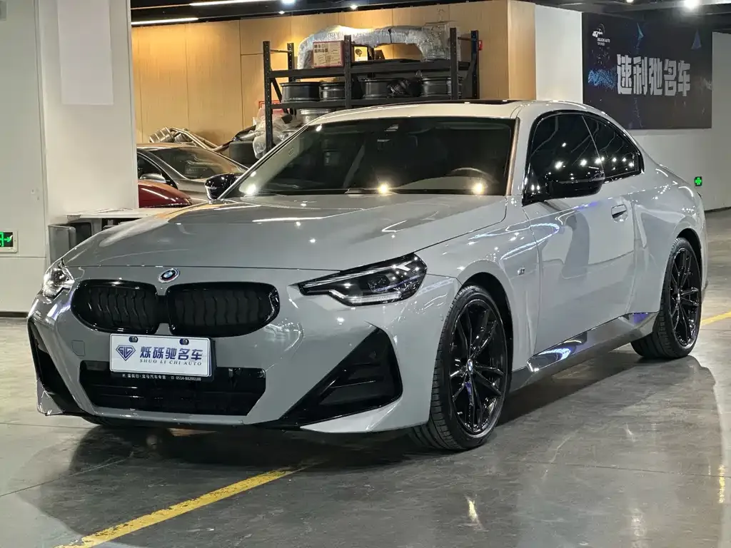 BMW 2 Series (Import) 2022 из CN, фото 1