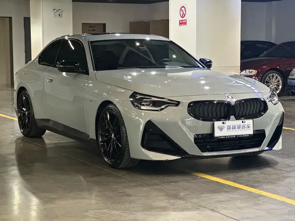 BMW 2 Series (Import) 2022 из CN, фото 6