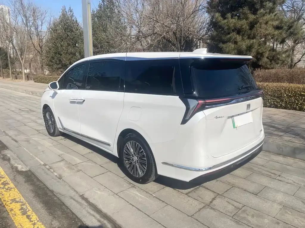 Buick GL8 Hybrid — фото 10