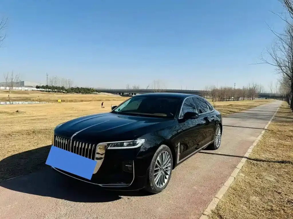 Hongqi H9 2022 из CN, фото 6
