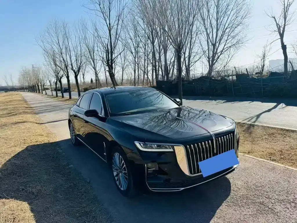 Hongqi H9 2022 из CN, фото 9