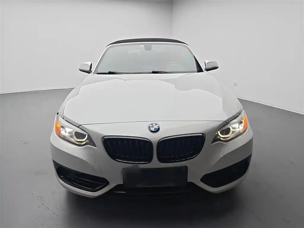 BMW 2 Series (Import) 2021 из CN, фото 7
