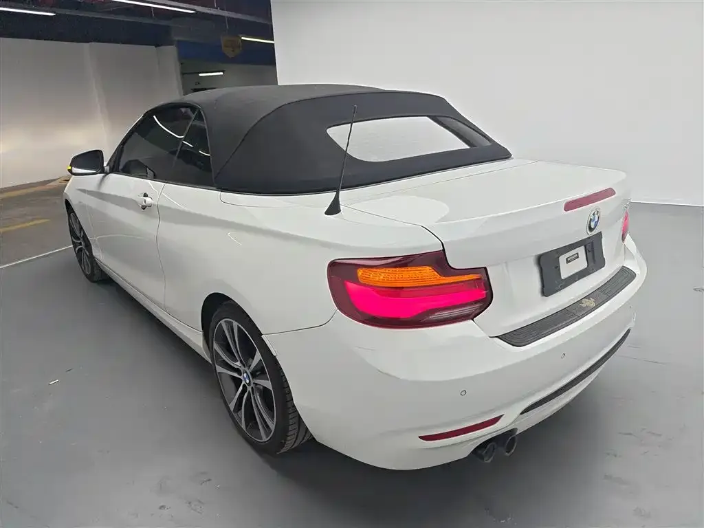 BMW 2 Series (Import) 2021 из CN, фото 6