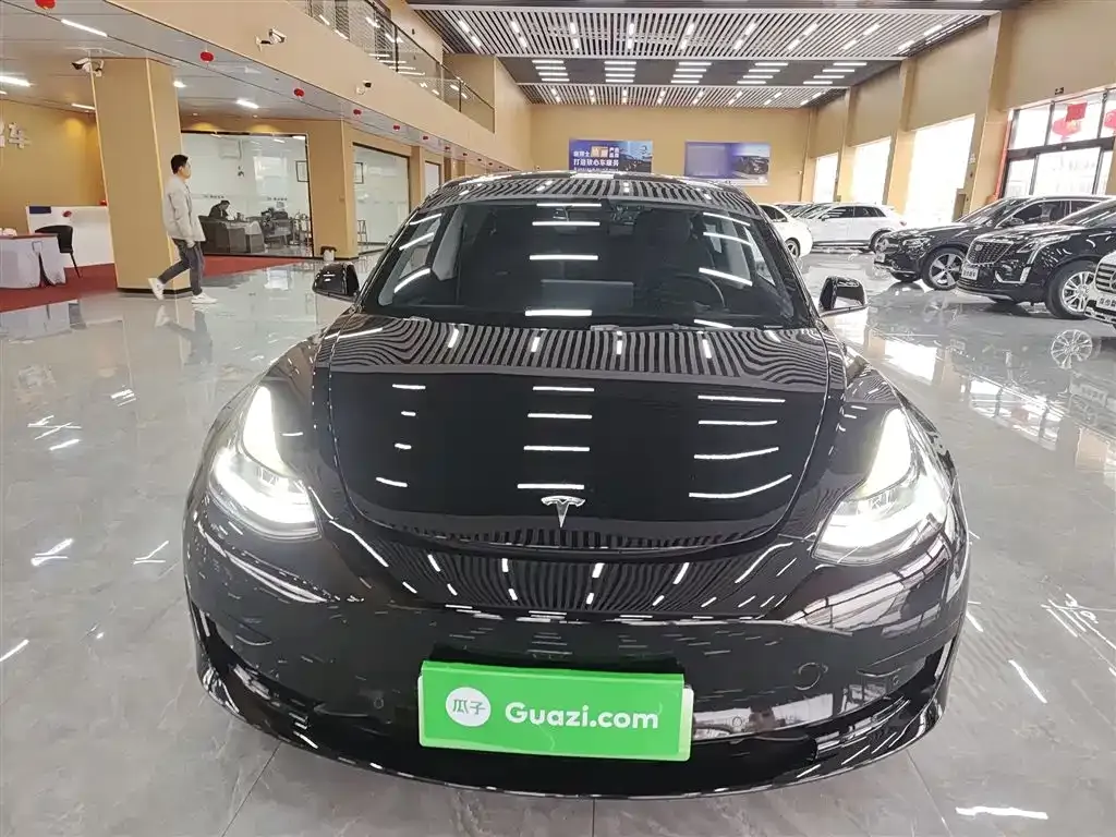 Tesla Model 3 2021 из CN, фото 2