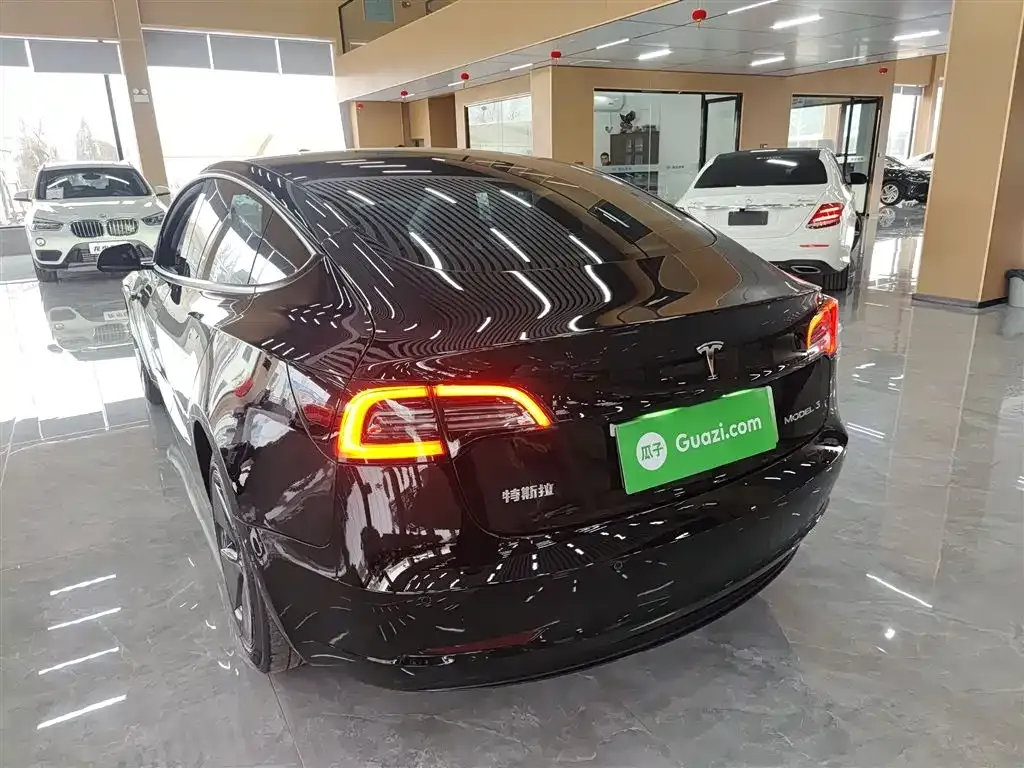 Tesla Model 3 2021 из CN, фото 9