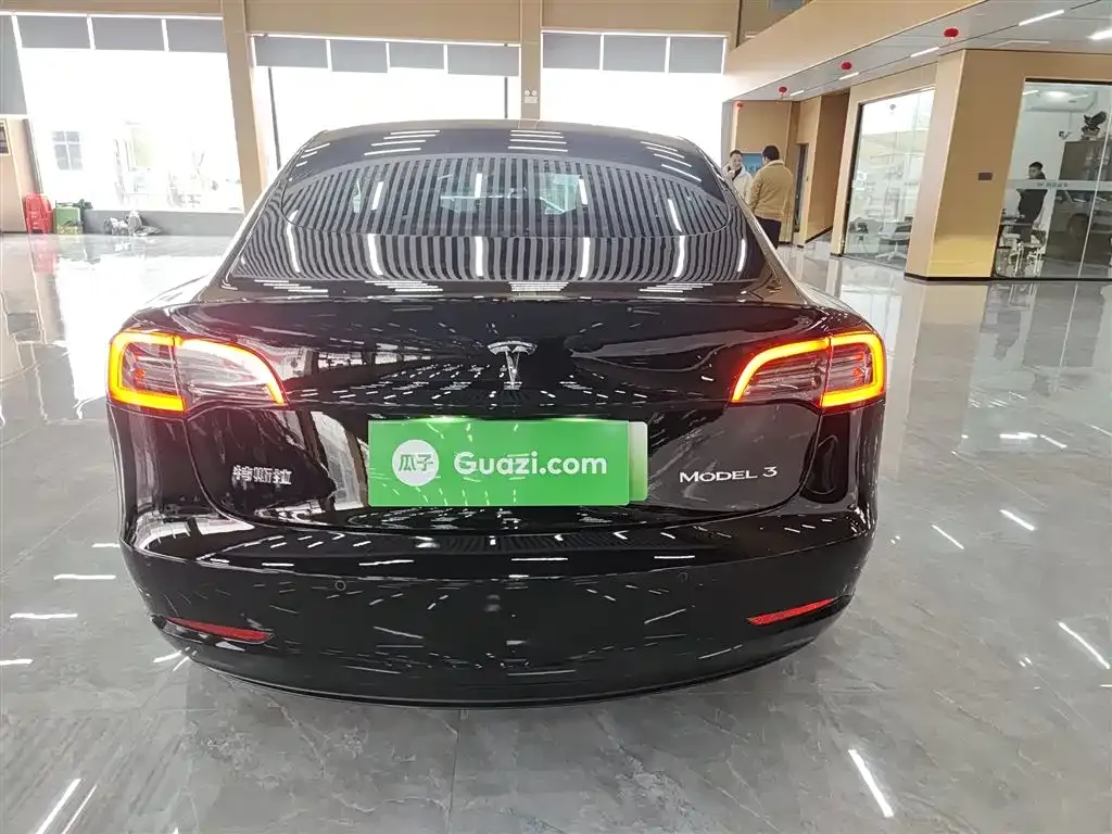Tesla Model 3 2021 из CN, фото 6