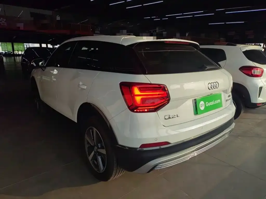 Audi Q2L e-tron 2021 из CN, фото 6