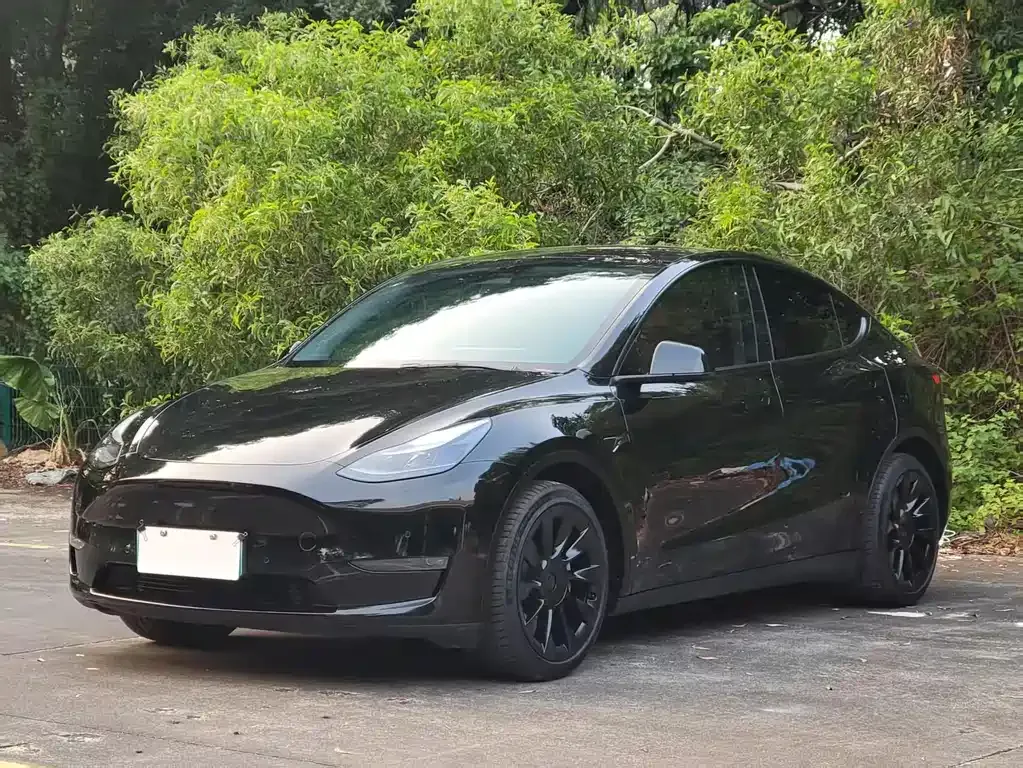 Tesla Model Y 2021 из CN, фото 1