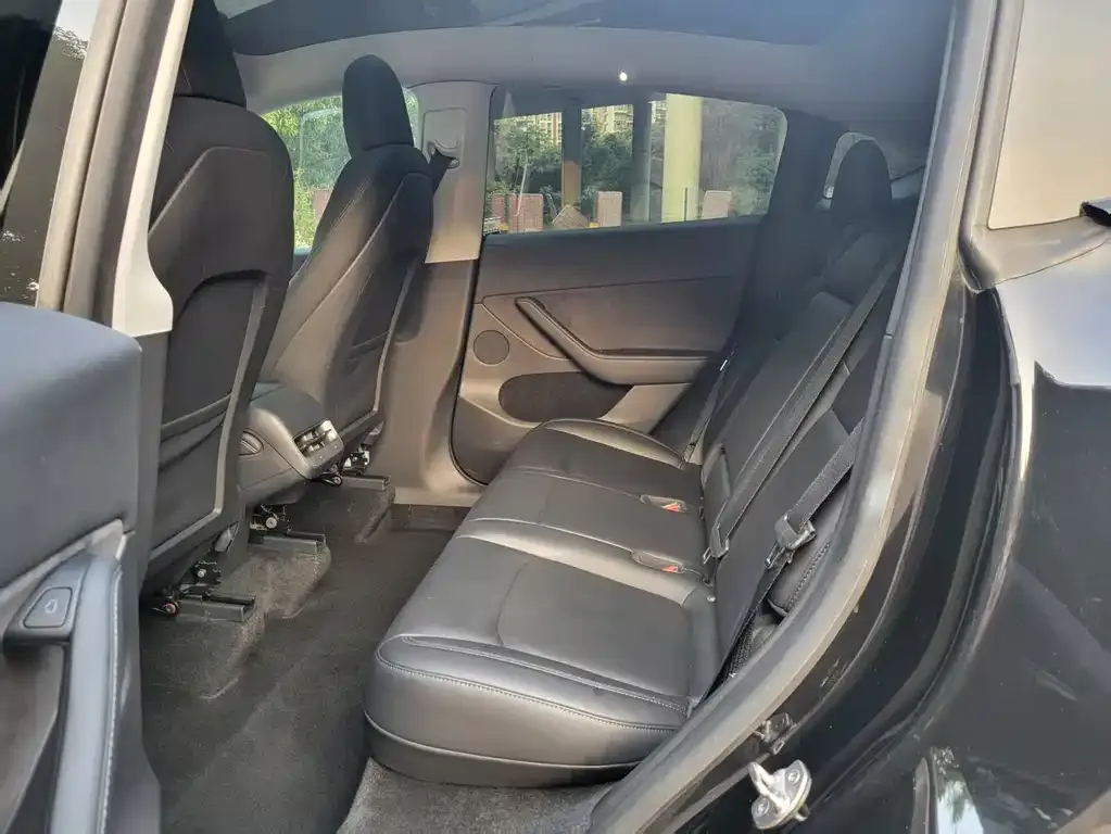 Tesla Model Y 2021 из CN, фото 5