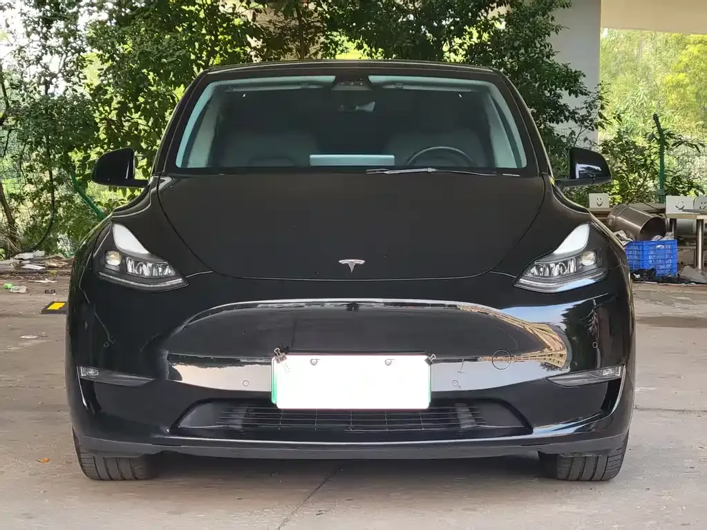 Tesla Model Y 2021 из CN, фото 10