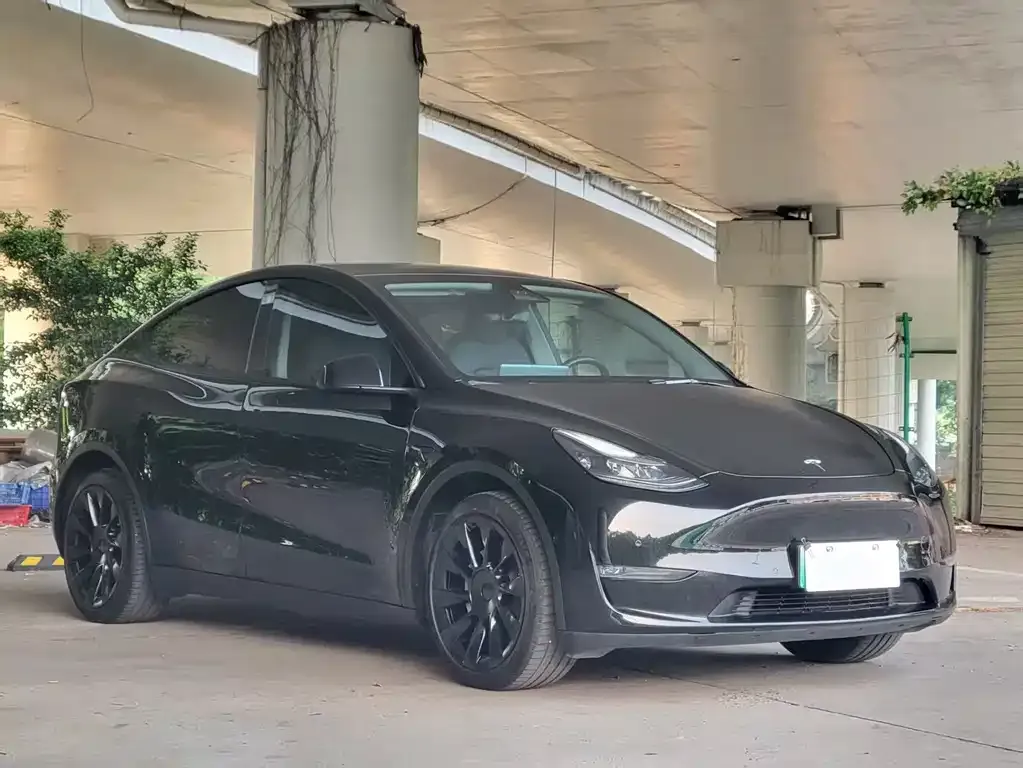 Tesla Model Y 2021 из CN, фото 4