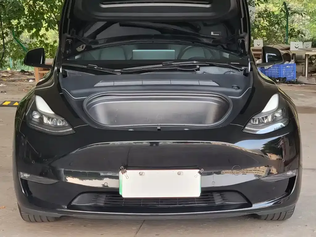 Tesla Model Y 2021 из CN, фото 8