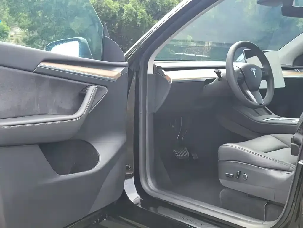 Tesla Model Y 2021 из CN, фото 2