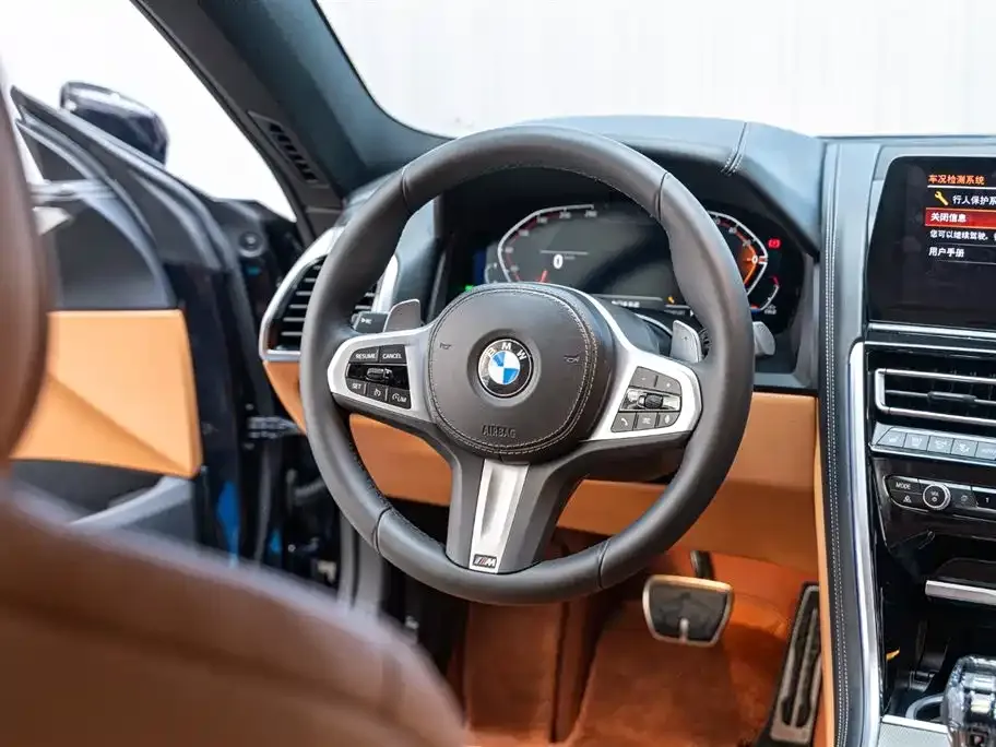 BMW 8 Series 2024 из CN, фото 5