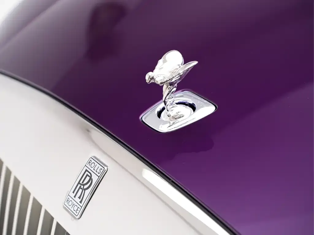 Rolls-Royce Phantom 2025 из CN, фото 9
