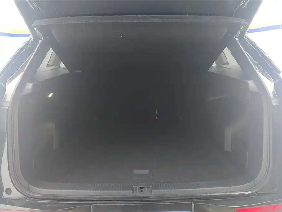 Volkswagen Tavendor 2023 из CN, фото 5