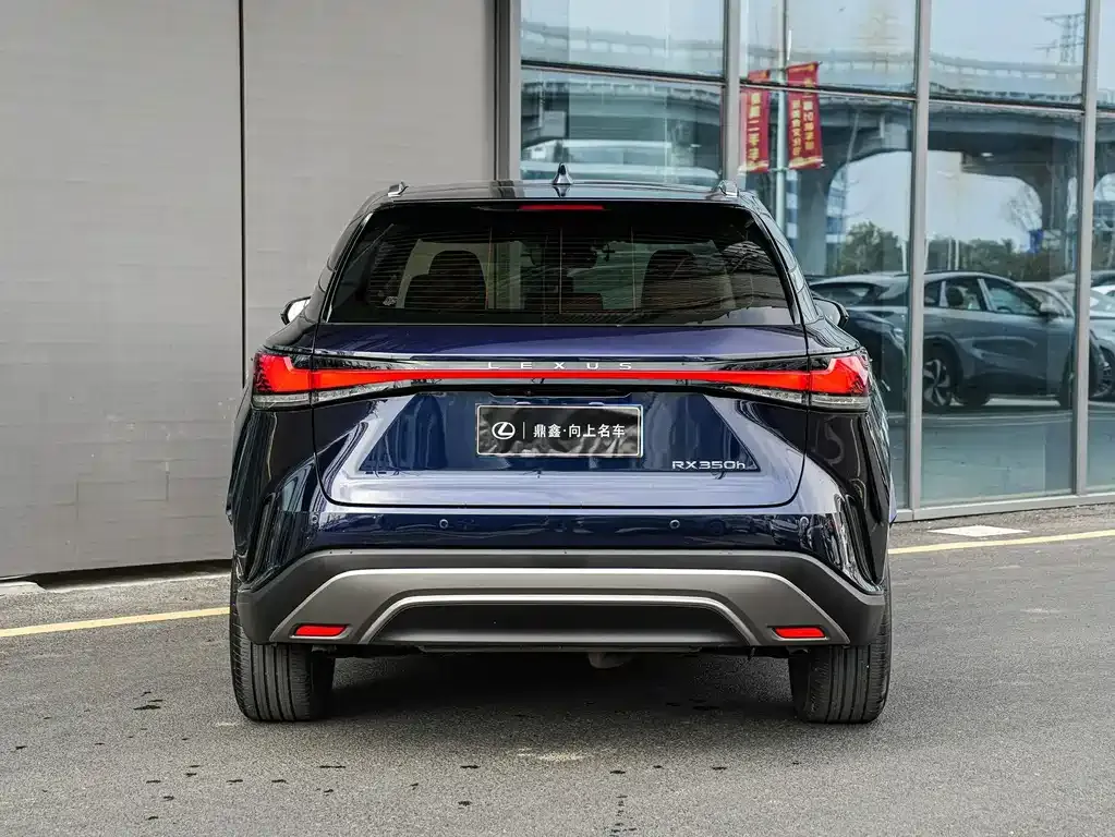 Lexus RX — фото 10