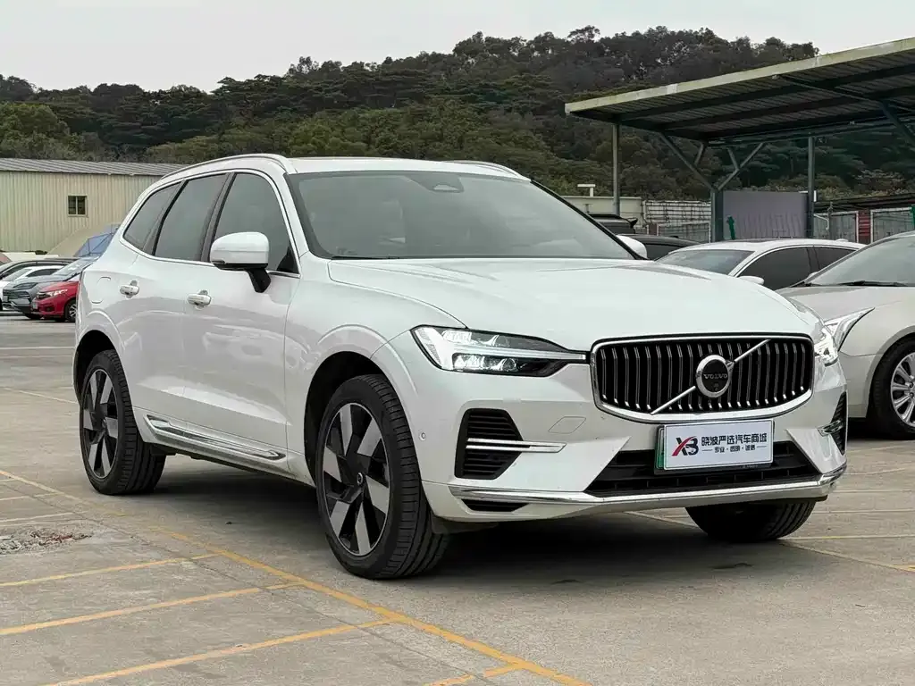 Volvo XC60 PHEV 2025 из CN, фото 10