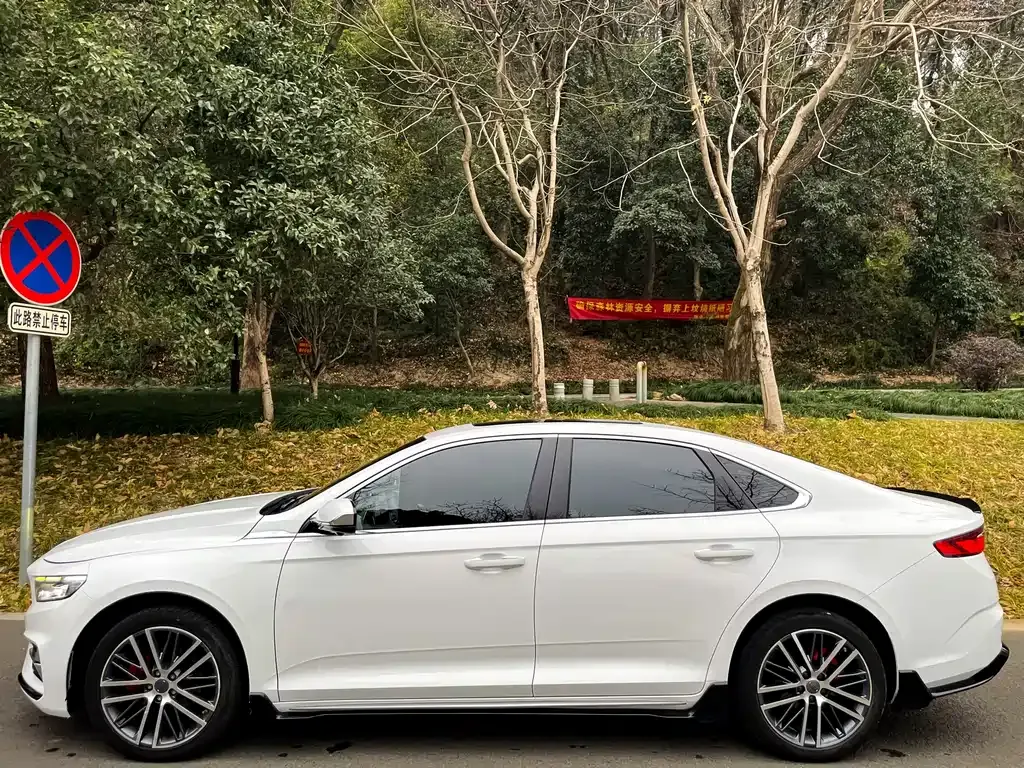 Geely Xingrui 2024 из CN, фото 6