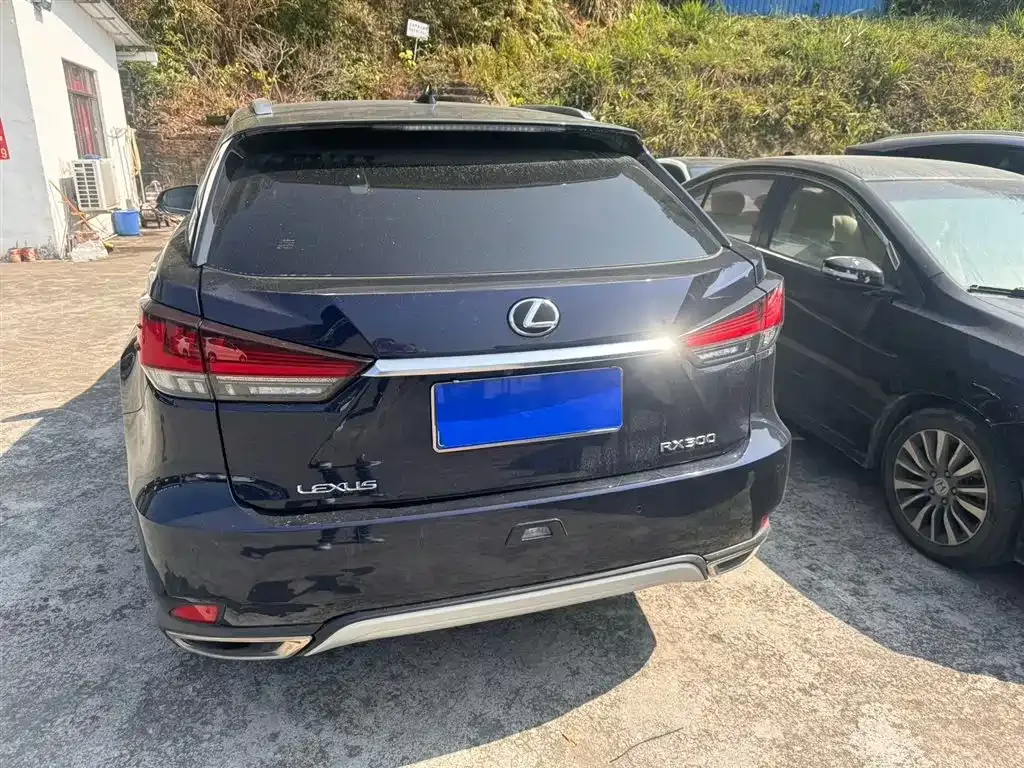 Lexus RX 2022 из CN, фото 5