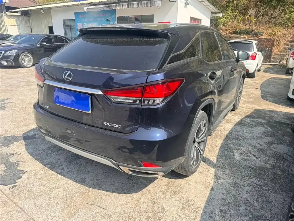 Lexus RX 2022 из CN, фото 9