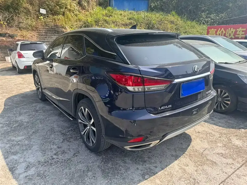 Lexus RX 2022 из CN, фото 8