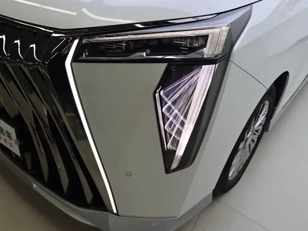 GAC Motor Trumpchi M8 2024 из CN, фото 6